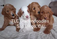 processed/1122fedc-81ee-426e-8f3e-0dc0690d4f06/facility/6be169b6-bced-48a8-bc18-9045a9572922