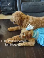 processed/1122fedc-81ee-426e-8f3e-0dc0690d4f06/facility/97bbadab-8b7d-47e8-aee4-4787fb0f9951