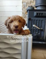 processed/1122fedc-81ee-426e-8f3e-0dc0690d4f06/facility/e3f937ef-19ed-4fe3-98a8-20a511ef5964