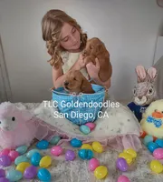 processed/1122fedc-81ee-426e-8f3e-0dc0690d4f06/facility/e65ad394-dbb1-423d-8b4c-c826e682e3ff