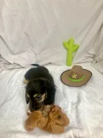 processed/1126553f-742b-4250-8e04-905cd8d6541b/listing/329b8604-8fc4-48c1-9f1b-85d1d18c7221/2aa7c992-ca4d-4ded-b925-b950985e42fa