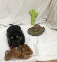 processed/1126553f-742b-4250-8e04-905cd8d6541b/listing/329b8604-8fc4-48c1-9f1b-85d1d18c7221/928c8668-094c-48c0-aea8-05106a43c43e