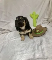 processed/1126553f-742b-4250-8e04-905cd8d6541b/listing/329b8604-8fc4-48c1-9f1b-85d1d18c7221/92c16d95-8923-4ddd-a590-c51abc9b86f0