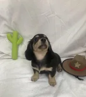 processed/1126553f-742b-4250-8e04-905cd8d6541b/listing/becae889-9b83-47ef-8a58-d36c70f704c7/4bbbca50-9a7b-440c-a459-0f380f47bf69