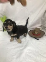 processed/1126553f-742b-4250-8e04-905cd8d6541b/listing/becae889-9b83-47ef-8a58-d36c70f704c7/90d7c5f7-4f72-40bc-a329-9d21e22554ae