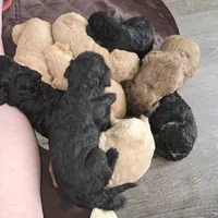 processed/112aa97d-fbec-48a1-94a0-cdcd7850876c/facility/a07d6a09-c963-428f-bcbf-daff3f1474c4