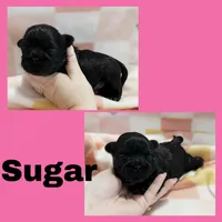 processed/112db7e8-c1f9-444a-b2e6-4185a08b323a/listing/386d4ab7-5532-4f0d-bd3b-9f16335d16b1/70a6f042-d5fa-411c-a09b-d186f4c0ee6c