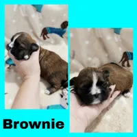 processed/112db7e8-c1f9-444a-b2e6-4185a08b323a/listing/af330389-a111-48c9-a664-ed2228b1952a/47981e92-1a89-4b73-8a65-583a4414478a