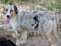 processed/113b97b1-42c4-4ba5-96b6-1186808e2a6a/listing/015b9b08-4f7c-4eb6-8681-6751730823e9/0c324fa5-8ac4-4adb-8131-d7917e2141da