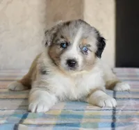 processed/113b97b1-42c4-4ba5-96b6-1186808e2a6a/listing/015b9b08-4f7c-4eb6-8681-6751730823e9/1b8ba97b-c53e-4ea9-a8e2-72827c511eb2