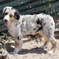 processed/113b97b1-42c4-4ba5-96b6-1186808e2a6a/listing/015b9b08-4f7c-4eb6-8681-6751730823e9/34ba6d2f-a032-4f33-8352-cc3954910228