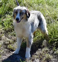 processed/113b97b1-42c4-4ba5-96b6-1186808e2a6a/listing/015b9b08-4f7c-4eb6-8681-6751730823e9/8007af77-7bd8-4871-bdbf-ef9daa7b3d4e