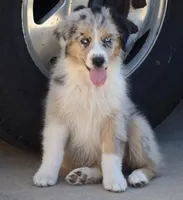 processed/113b97b1-42c4-4ba5-96b6-1186808e2a6a/listing/015b9b08-4f7c-4eb6-8681-6751730823e9/966a7f92-facd-4fc3-bd53-138dc91f0ae6