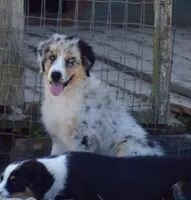 processed/113b97b1-42c4-4ba5-96b6-1186808e2a6a/listing/015b9b08-4f7c-4eb6-8681-6751730823e9/a5a2d46d-e1d2-43b3-99e0-58a5b1c2df72