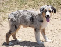 processed/113b97b1-42c4-4ba5-96b6-1186808e2a6a/listing/015b9b08-4f7c-4eb6-8681-6751730823e9/f07f67cb-ff10-41a4-a5a3-20d693990672