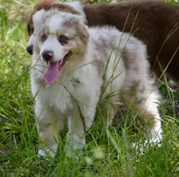 processed/113b97b1-42c4-4ba5-96b6-1186808e2a6a/listing/134109e3-b206-468c-bc57-143cf926de6b/17cc77d1-49f3-4ea0-b84c-a51695929897