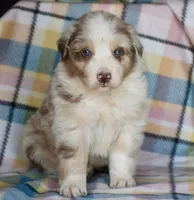 processed/113b97b1-42c4-4ba5-96b6-1186808e2a6a/listing/134109e3-b206-468c-bc57-143cf926de6b/1a605241-9dd0-4993-823b-6f5bf8eb7335