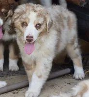 processed/113b97b1-42c4-4ba5-96b6-1186808e2a6a/listing/134109e3-b206-468c-bc57-143cf926de6b/3de3ed84-6010-4fd7-86d0-c9086a99762d