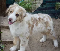 processed/113b97b1-42c4-4ba5-96b6-1186808e2a6a/listing/134109e3-b206-468c-bc57-143cf926de6b/c24700ba-54bd-4475-b243-68d89a15957f