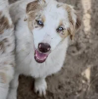 processed/113b97b1-42c4-4ba5-96b6-1186808e2a6a/listing/35d21fa2-c59c-4182-a6db-f1a64ff9c51b/12468f83-0cd7-46af-8a9a-45caab17c9c5