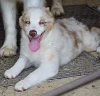 processed/113b97b1-42c4-4ba5-96b6-1186808e2a6a/listing/35d21fa2-c59c-4182-a6db-f1a64ff9c51b/3a09859e-34f7-47a6-ba8b-a052a64920ba