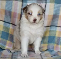 processed/113b97b1-42c4-4ba5-96b6-1186808e2a6a/listing/35d21fa2-c59c-4182-a6db-f1a64ff9c51b/46781bf6-4b98-43c2-84c2-d7590879a3a2