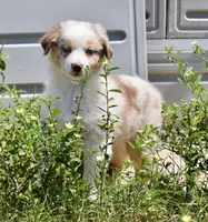 processed/113b97b1-42c4-4ba5-96b6-1186808e2a6a/listing/35d21fa2-c59c-4182-a6db-f1a64ff9c51b/a20ebe1e-d9cc-429a-9ab9-915c7ec45a0b