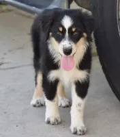 processed/113b97b1-42c4-4ba5-96b6-1186808e2a6a/listing/37fbe608-25e4-487c-a286-91de72272318/13ef1135-4b83-422b-b9fa-8f3b3c63e098