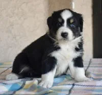 processed/113b97b1-42c4-4ba5-96b6-1186808e2a6a/listing/37fbe608-25e4-487c-a286-91de72272318/29e4523c-8b7d-42e3-a669-677ac3d431d7