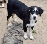 processed/113b97b1-42c4-4ba5-96b6-1186808e2a6a/listing/37fbe608-25e4-487c-a286-91de72272318/2d1ec695-73e6-4cea-9652-9fa82b61cc52