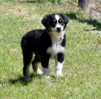 processed/113b97b1-42c4-4ba5-96b6-1186808e2a6a/listing/37fbe608-25e4-487c-a286-91de72272318/341acbf6-5199-4cb1-95cf-8ac5513acbf9