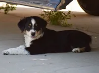 processed/113b97b1-42c4-4ba5-96b6-1186808e2a6a/listing/37fbe608-25e4-487c-a286-91de72272318/4a50cb42-7d5c-408b-8be3-447bc952cd4a