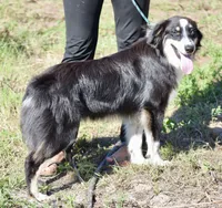 processed/113b97b1-42c4-4ba5-96b6-1186808e2a6a/listing/37fbe608-25e4-487c-a286-91de72272318/50dde3cc-90cf-45a2-b99f-8ce14861d9cc