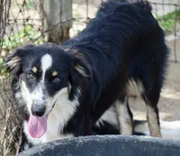 processed/113b97b1-42c4-4ba5-96b6-1186808e2a6a/listing/37fbe608-25e4-487c-a286-91de72272318/d8b1365e-048a-4dc1-89e9-2916e3523219