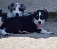 processed/113b97b1-42c4-4ba5-96b6-1186808e2a6a/listing/37fbe608-25e4-487c-a286-91de72272318/f2afeb8c-06a2-4e3c-8427-dce980df74b4