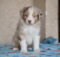 processed/113b97b1-42c4-4ba5-96b6-1186808e2a6a/listing/3a287341-efa9-414d-933b-b07f6e90e6f7/320c38f5-a47d-4c18-8b87-b54f94c53d74