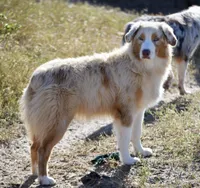 processed/113b97b1-42c4-4ba5-96b6-1186808e2a6a/listing/3a287341-efa9-414d-933b-b07f6e90e6f7/7a3ba9a7-3683-4374-a488-fe73eef42be9