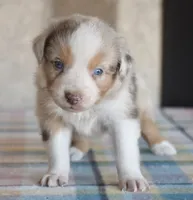 processed/113b97b1-42c4-4ba5-96b6-1186808e2a6a/listing/3a287341-efa9-414d-933b-b07f6e90e6f7/cb560bc1-37e3-4c83-b445-bbb70aeb4f8d