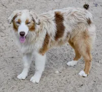 processed/113b97b1-42c4-4ba5-96b6-1186808e2a6a/listing/3a287341-efa9-414d-933b-b07f6e90e6f7/cf153b56-4b6c-4590-83db-89af94d5b0c2