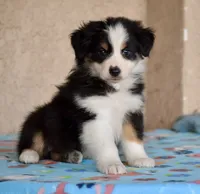 processed/113b97b1-42c4-4ba5-96b6-1186808e2a6a/listing/4a296a90-8b7b-4250-9aa5-331bb8537307/19da1016-b50b-4f10-ba0e-07a7a13e7eef