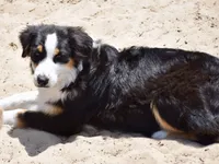 processed/113b97b1-42c4-4ba5-96b6-1186808e2a6a/listing/4a296a90-8b7b-4250-9aa5-331bb8537307/23cd4a66-2902-48bb-ad8d-c4b1e9b46425