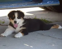 processed/113b97b1-42c4-4ba5-96b6-1186808e2a6a/listing/4a296a90-8b7b-4250-9aa5-331bb8537307/572094c6-6943-482a-9859-cab39c5e8f4d