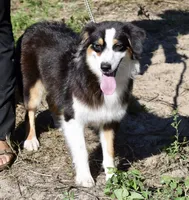 processed/113b97b1-42c4-4ba5-96b6-1186808e2a6a/listing/4a296a90-8b7b-4250-9aa5-331bb8537307/6ef72aff-6b70-4cf7-80af-cc24f7a4c70e