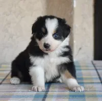 processed/113b97b1-42c4-4ba5-96b6-1186808e2a6a/listing/4a296a90-8b7b-4250-9aa5-331bb8537307/971a04d7-ec5f-4aa9-92e3-cdcbcd4840b7