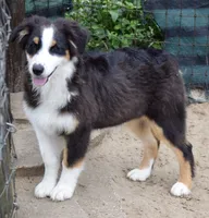 processed/113b97b1-42c4-4ba5-96b6-1186808e2a6a/listing/4a296a90-8b7b-4250-9aa5-331bb8537307/973f6978-4f2c-4196-93b3-f5d9e41177db