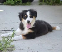 processed/113b97b1-42c4-4ba5-96b6-1186808e2a6a/listing/4a296a90-8b7b-4250-9aa5-331bb8537307/d2b00007-6a88-47a4-affd-314014f8a72f