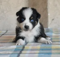 processed/113b97b1-42c4-4ba5-96b6-1186808e2a6a/listing/e8fcbe79-bb34-4343-a011-fffb7e910d9d/10edfaeb-2139-42ec-b4a2-acf7ad42dd42