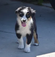 processed/113b97b1-42c4-4ba5-96b6-1186808e2a6a/listing/e8fcbe79-bb34-4343-a011-fffb7e910d9d/305801ab-138c-4bc5-aab6-ef2009a2e77d