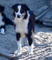 processed/113b97b1-42c4-4ba5-96b6-1186808e2a6a/listing/e8fcbe79-bb34-4343-a011-fffb7e910d9d/8f7e6beb-7dc5-4330-b4c4-c56a6be5cb5e