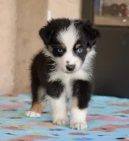 processed/113b97b1-42c4-4ba5-96b6-1186808e2a6a/listing/e8fcbe79-bb34-4343-a011-fffb7e910d9d/a13fcbc2-07f6-44d4-9ae3-4c25e8aefec7